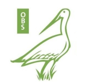 Weidevogel3